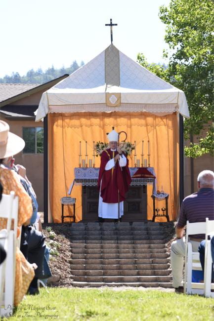 14 Homily